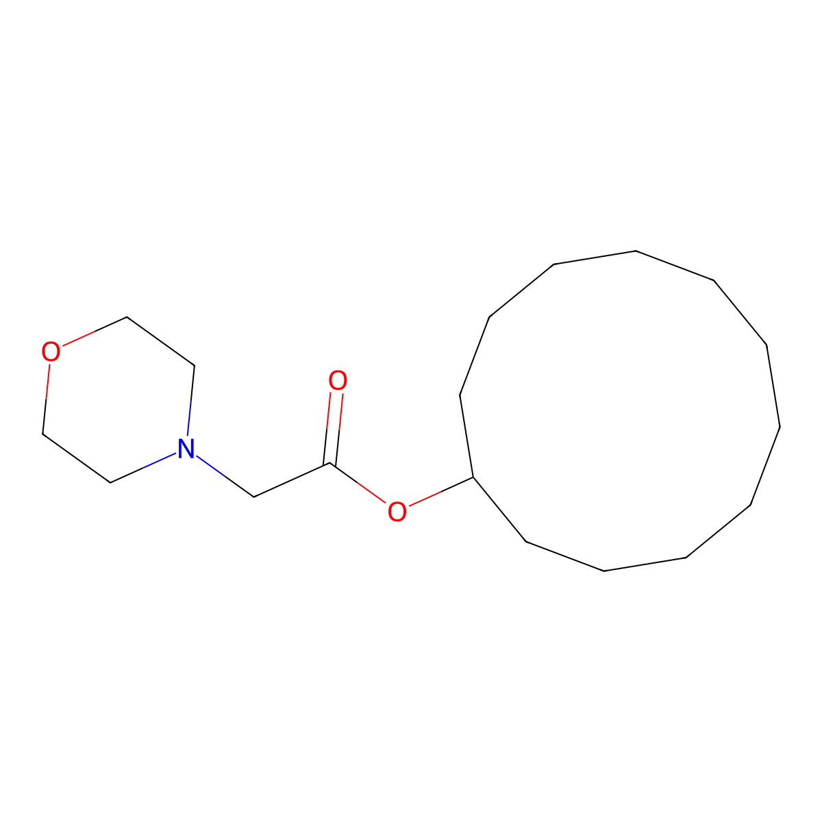 Cyclododecyl morpholin-4-ylacetate molecular structure, CAS 444077-38-7