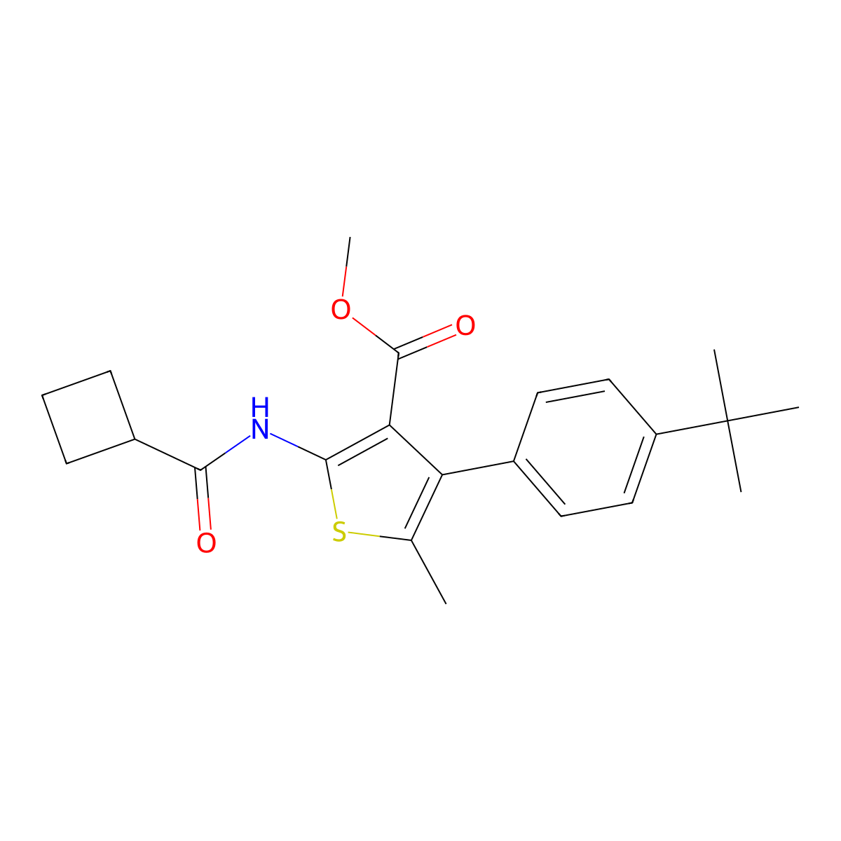 Methyl 4-(4-tert-butylphenyl)-2-(cyclobutanecarbonylamino)-5-methylthiophene-3-carboxylate molecular structure, CAS 444906-20-1