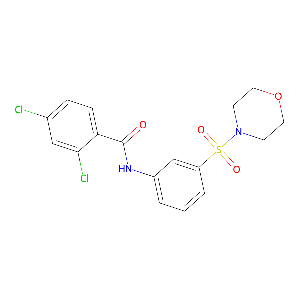 2,4-dichloro-N-(3-morpholin-4-ylsulfonylphenyl)benzamide molecular structure, CAS 444934-70-7