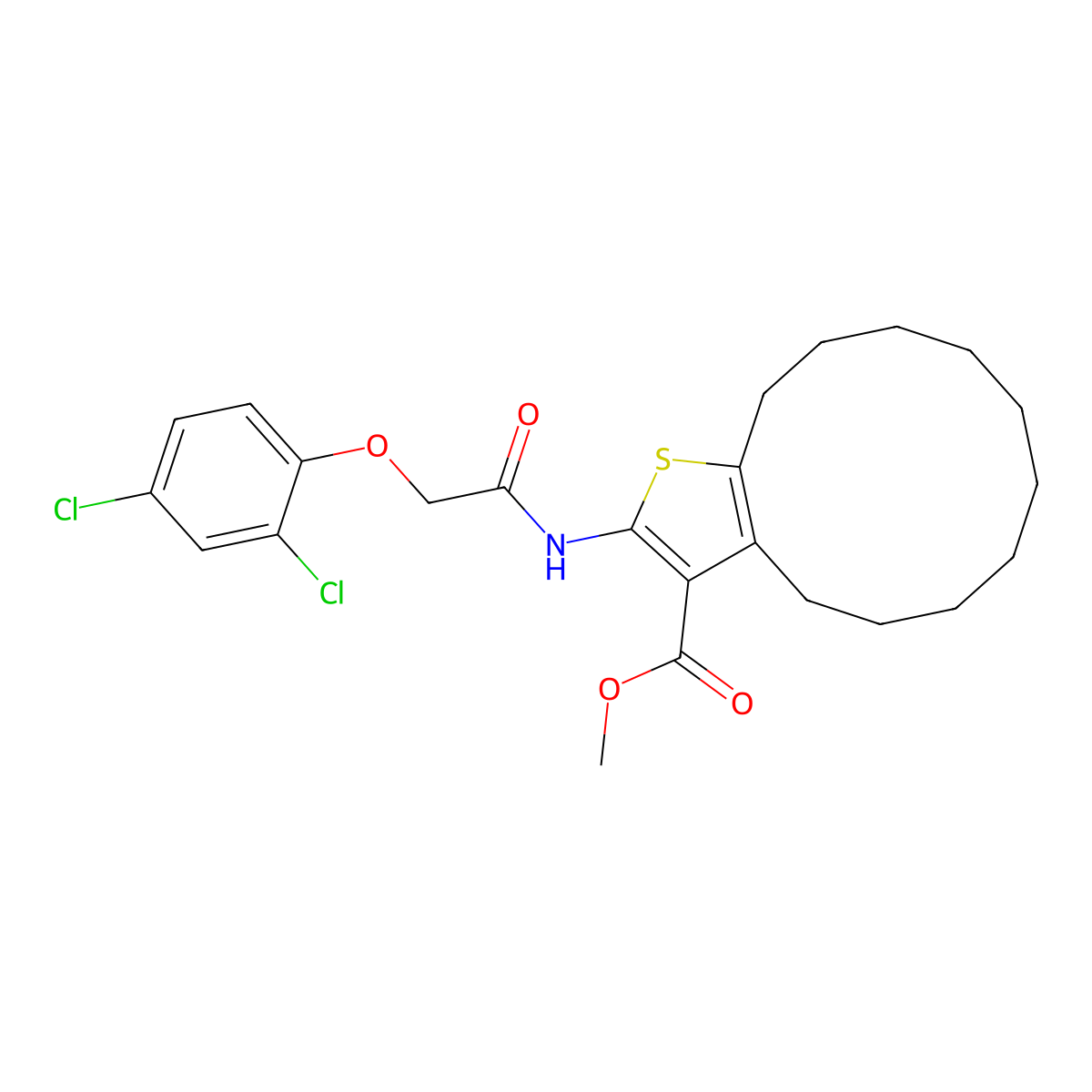 Methyl 2-{[(2,4-dichlorophenoxy)acetyl]amino}-4,5,6,7,8,9,10,11,12,13-decahydrocyclododeca[b]thiophene-3-carboxylate molecular structure, CAS 445016-33-1