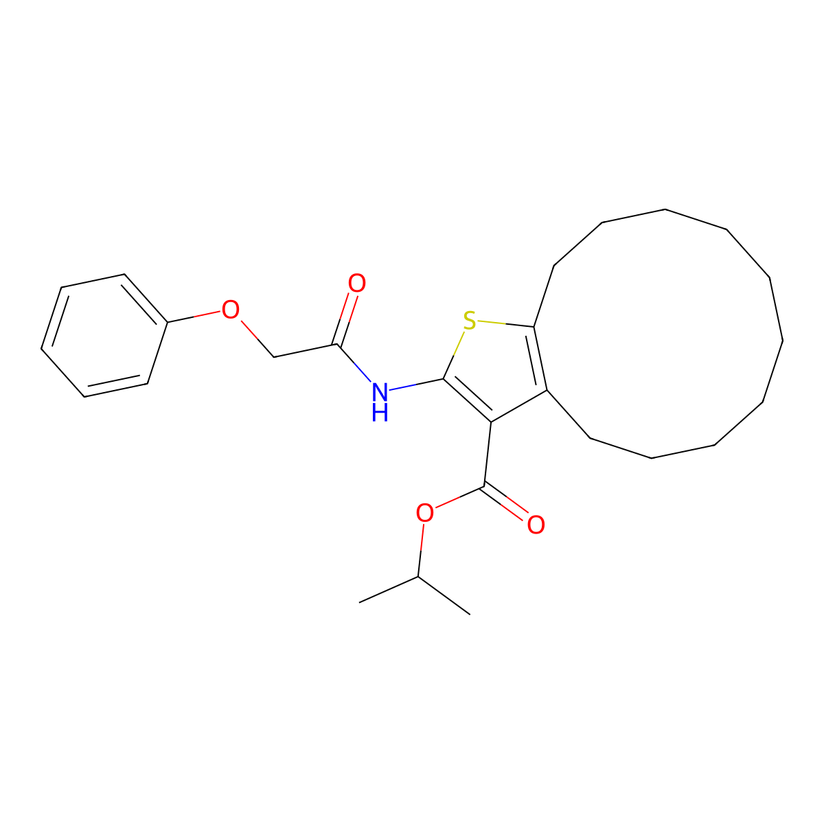 Isopropyl 2-[(phenoxyacetyl)amino]-4,5,6,7,8,9,10,11,12,13-decahydrocyclododeca[b]thiophene-3-carboxylate molecular structure, CAS 445016-40-0