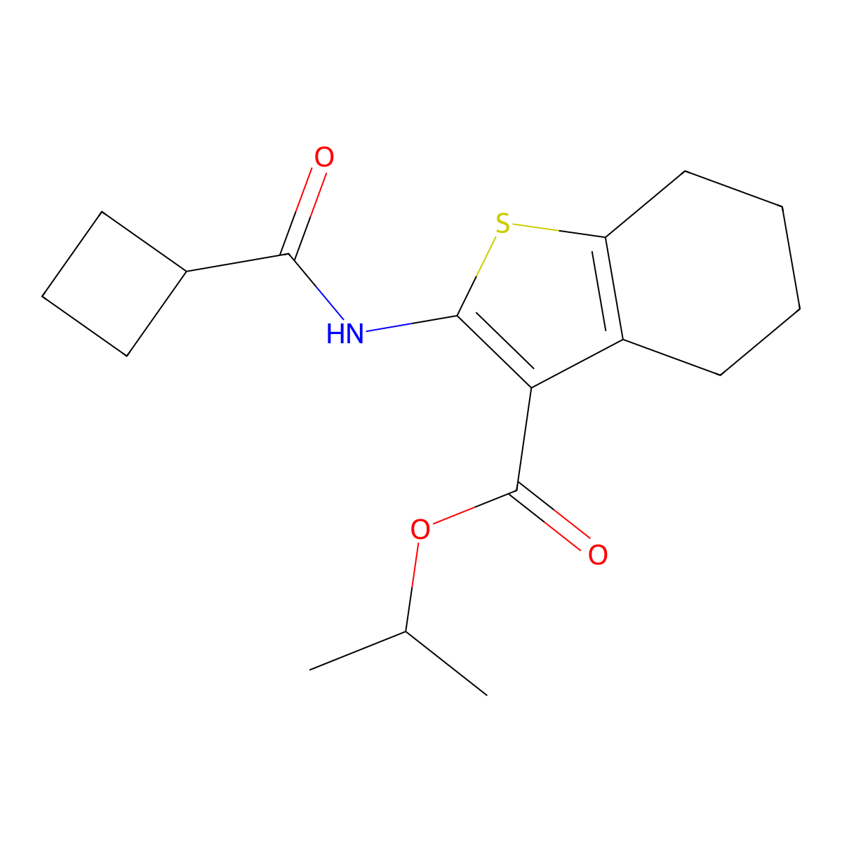 Propan-2-yl 2-[(cyclobutylcarbonyl)amino]-4,5,6,7-tetrahydro-1-benzothiophene-3-carboxylate molecular structure, CAS 445017-03-8