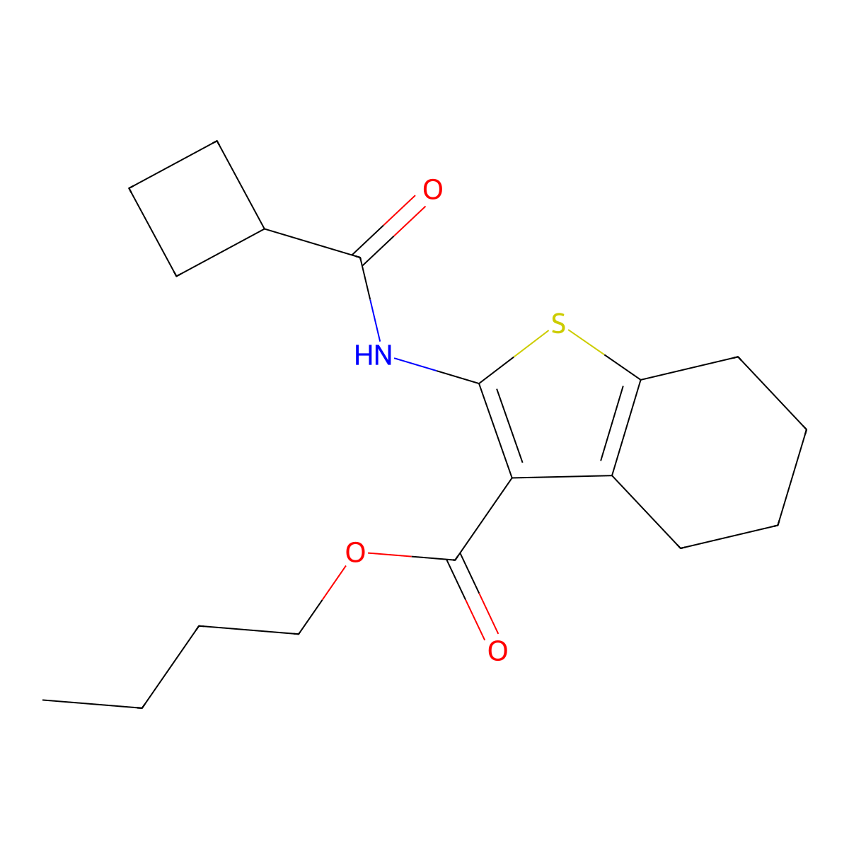 Butyl 2-[(cyclobutylcarbonyl)amino]-4,5,6,7-tetrahydro-1-benzothiophene-3-carboxylate molecular structure, CAS 445018-04-2