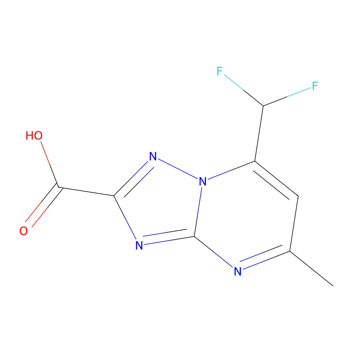 7-(Difluoromethyl)-5-methyl[1,2,4]triazolo[1,5-a]pyrimidine-2-carboxylic acid molecular structure, CAS 445025-82-1