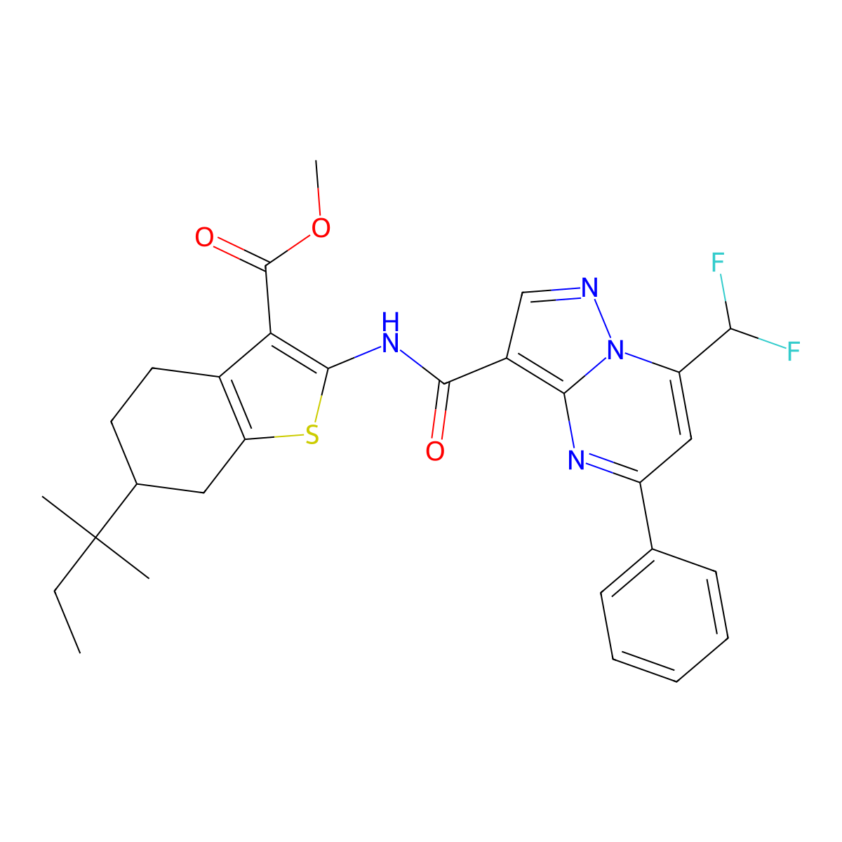 Methyl 2-({[7-(difluoromethyl)-5-phenylpyrazolo[1,5-a]pyrimidin-3-yl]carbonyl}amino)-6-tert-pentyl-4,5,6,7-tetrahydro-1-benzothiophene-3-carboxylate molecular structure, CAS 445035-11-0