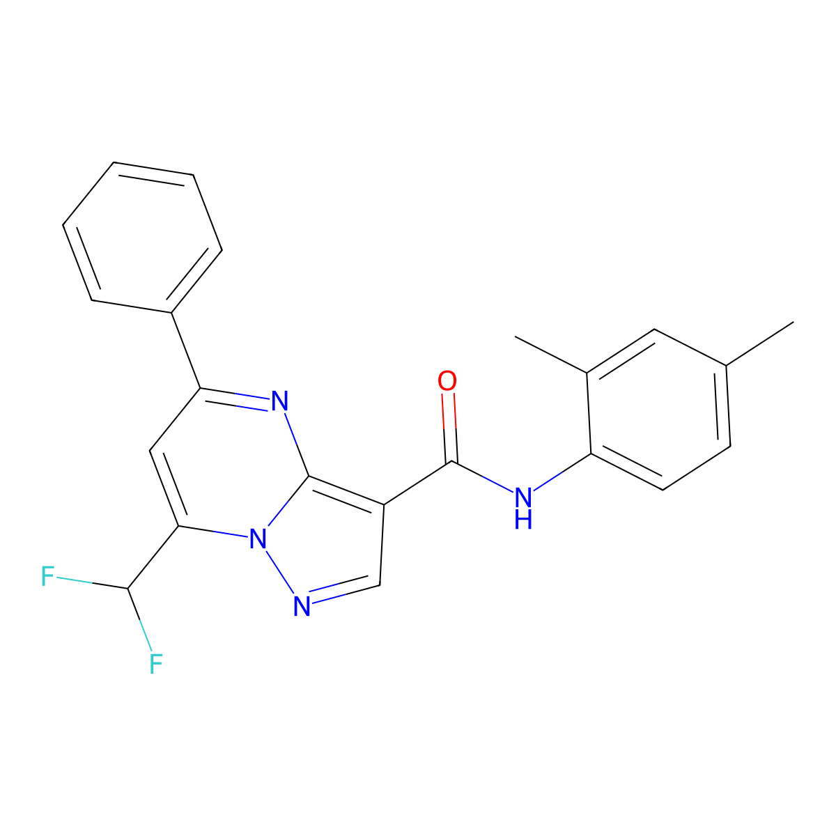 7-(difluoromethyl)-N-(2,4-dimethylphenyl)-5-phenylpyrazolo[1,5-a]pyrimidine-3-carboxamide molecular structure, CAS 445035-26-7