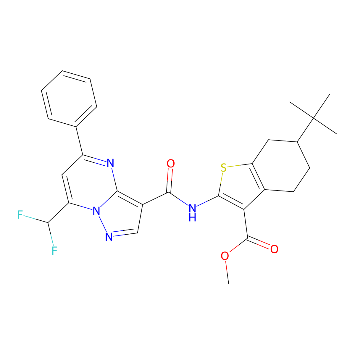 Methyl 6-tert-butyl-2-({[7-(difluoromethyl)-5-phenylpyrazolo[1,5-a]pyrimidin-3-yl]carbonyl}amino)-4,5,6,7-tetrahydro-1-benzothiophene-3-carboxylate molecular structure, CAS 445035-54-1