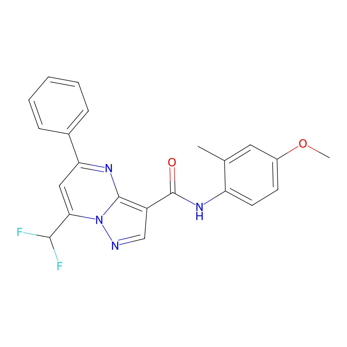 7-(difluoromethyl)-N-(4-methoxy-2-methylphenyl)-5-phenylpyrazolo[1,5-a]pyrimidine-3-carboxamide molecular structure, CAS 445036-62-4