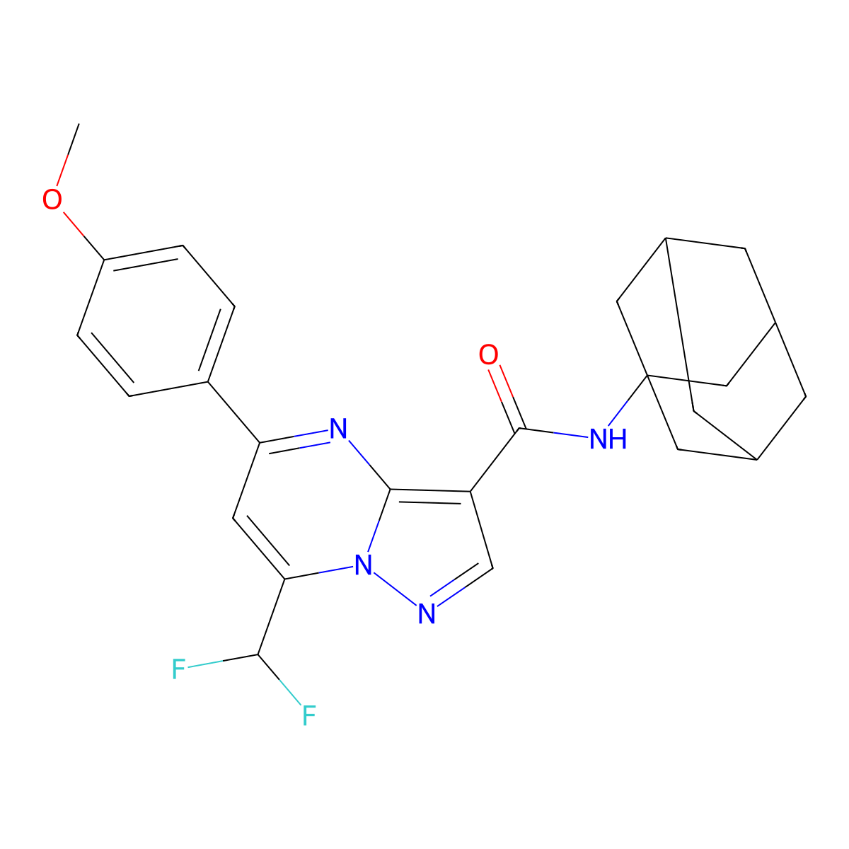 N-(1-adamantyl)-7-(difluoromethyl)-5-(4-methoxyphenyl)pyrazolo[1,5-a]pyrimidine-3-carboxamide molecular structure, CAS 445037-52-5