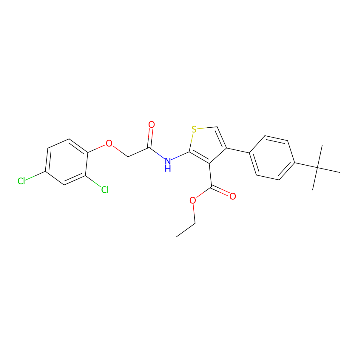 Ethyl 4-(4-tert-butylphenyl)-2-{[(2,4-dichlorophenoxy)acetyl]amino}-3-thiophenecarboxylate molecular structure, CAS 445037-61-6