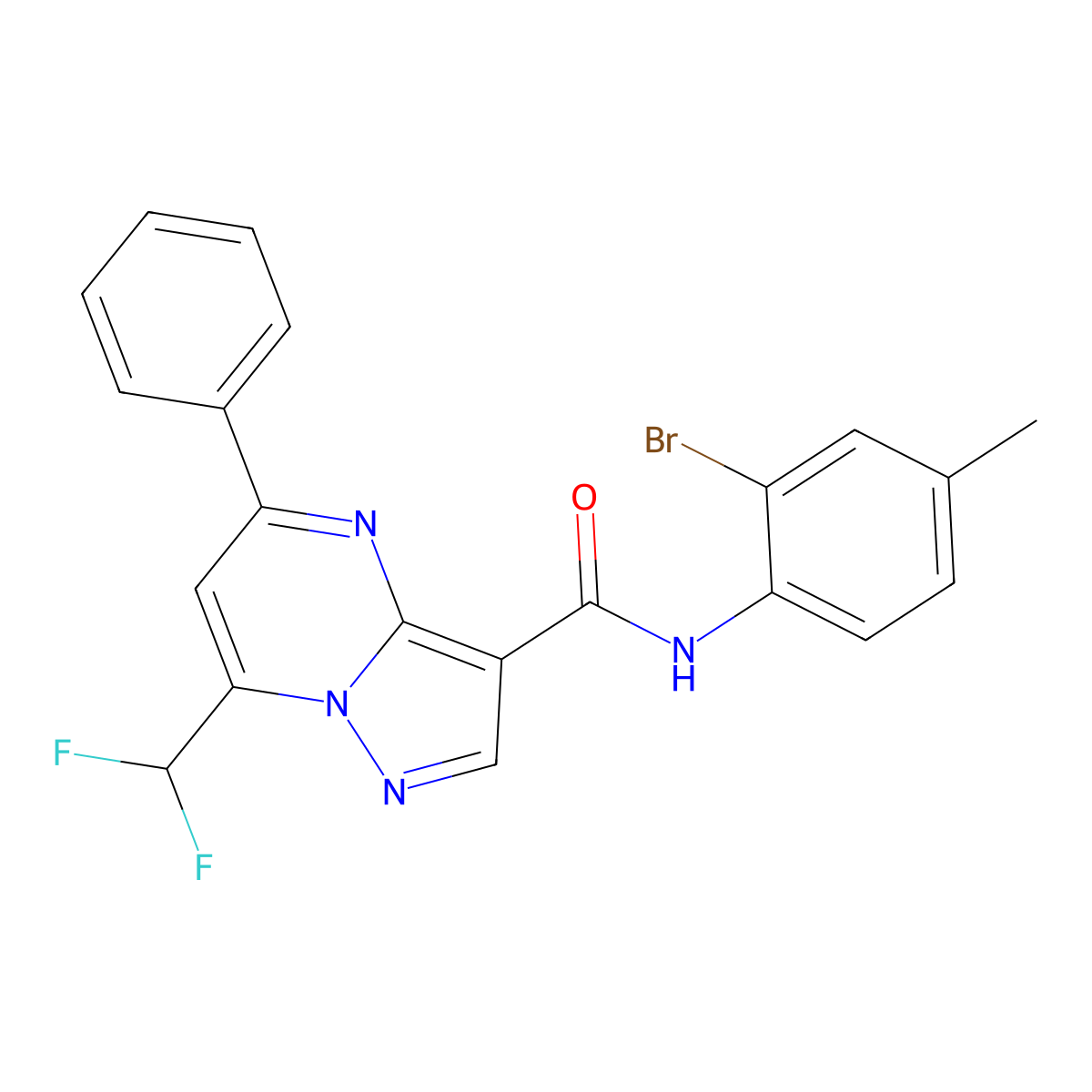 N-(2-bromo-4-methylphenyl)-7-(difluoromethyl)-5-phenylpyrazolo[1,5-a]pyrimidine-3-carboxamide molecular structure, CAS 445039-37-2