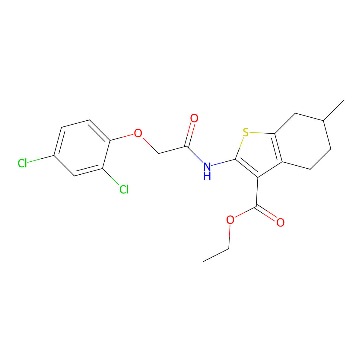 Ethyl 2-{[(2,4-dichlorophenoxy)acetyl]amino}-6-methyl-4,5,6,7-tetrahydro-1-benzothiophene-3-carboxylate molecular structure, CAS 445228-97-7