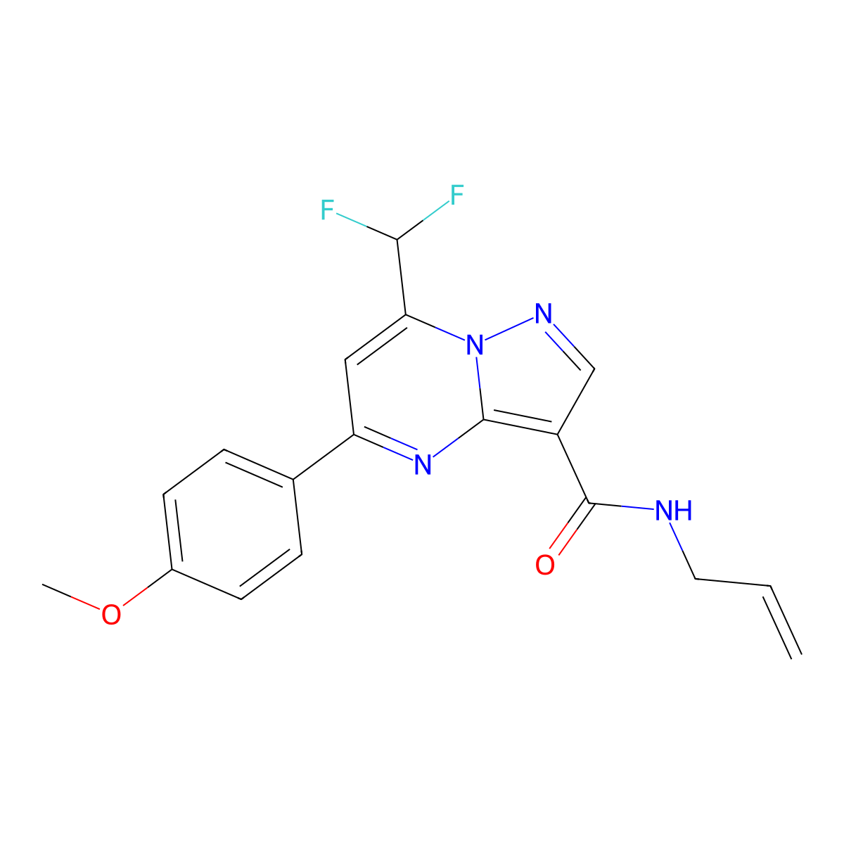 N-allyl-7-(difluoromethyl)-5-(4-methoxyphenyl)pyrazolo[1,5-a]pyrimidine-3-carboxamide molecular structure, CAS 445229-70-9