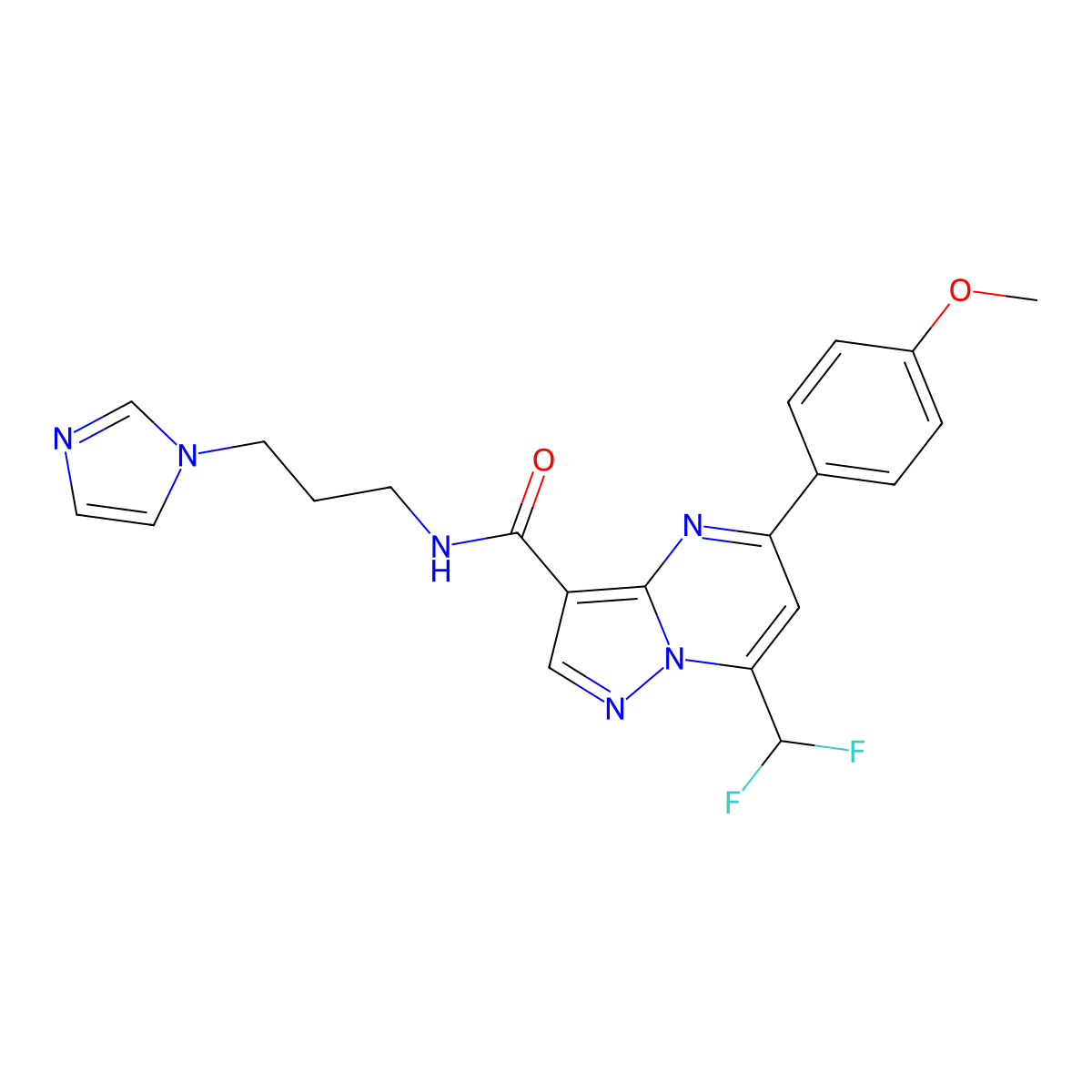 7-(difluoromethyl)-N-[3-(1H-imidazol-1-yl)propyl]-5-(4-methoxyphenyl)pyrazolo[1,5-a]pyrimidine-3-carboxamide molecular structure, CAS 445229-82-3