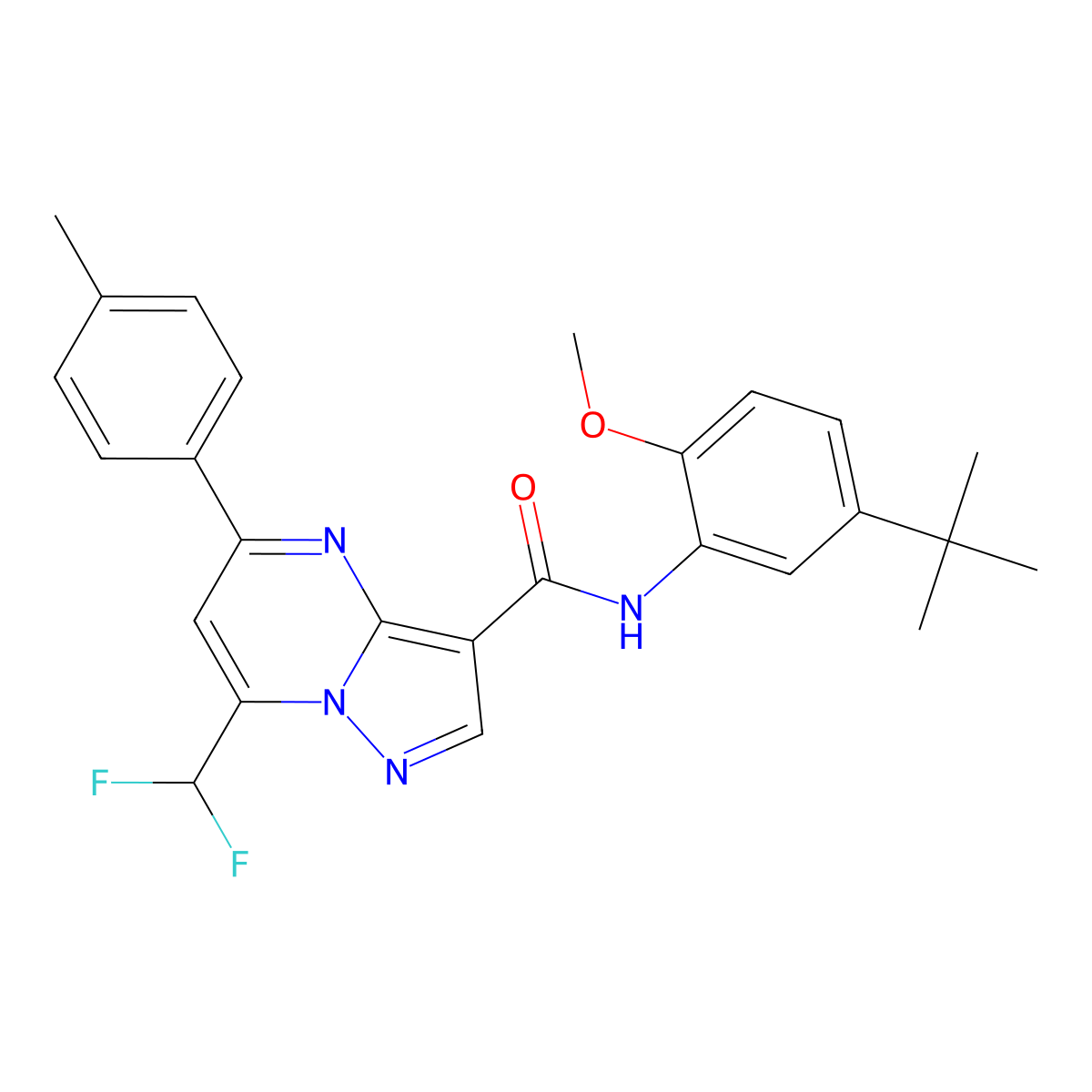 N-(5-tert-butyl-2-methoxyphenyl)-7-(difluoromethyl)-5-(4-methylphenyl)pyrazolo[1,5-a]pyrimidine-3-carboxamide molecular structure, CAS 445230-26-2