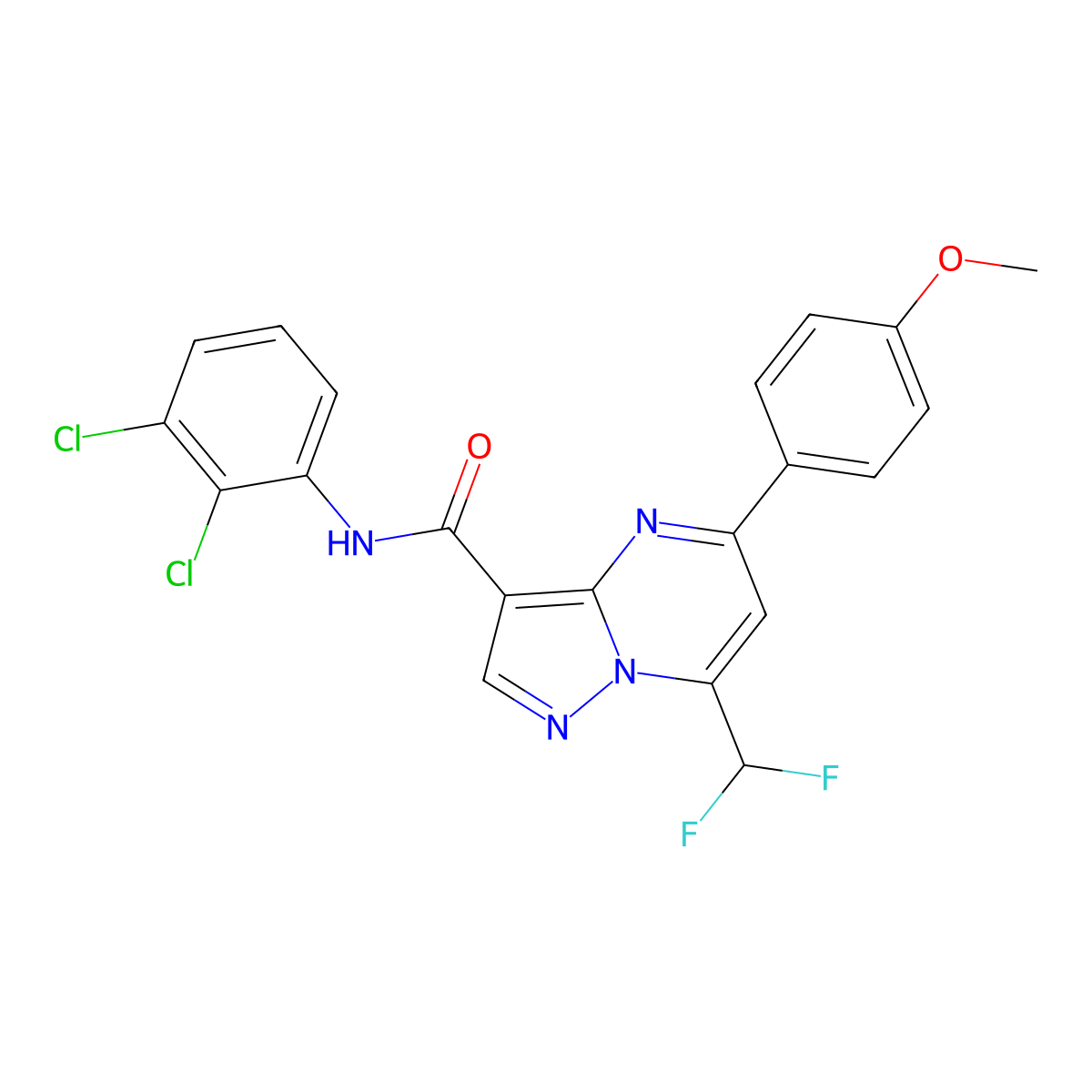 N-(2,3-dichlorophenyl)-7-(difluoromethyl)-5-(4-methoxyphenyl)pyrazolo[1,5-a]pyrimidine-3-carboxamide molecular structure, CAS 445230-80-8