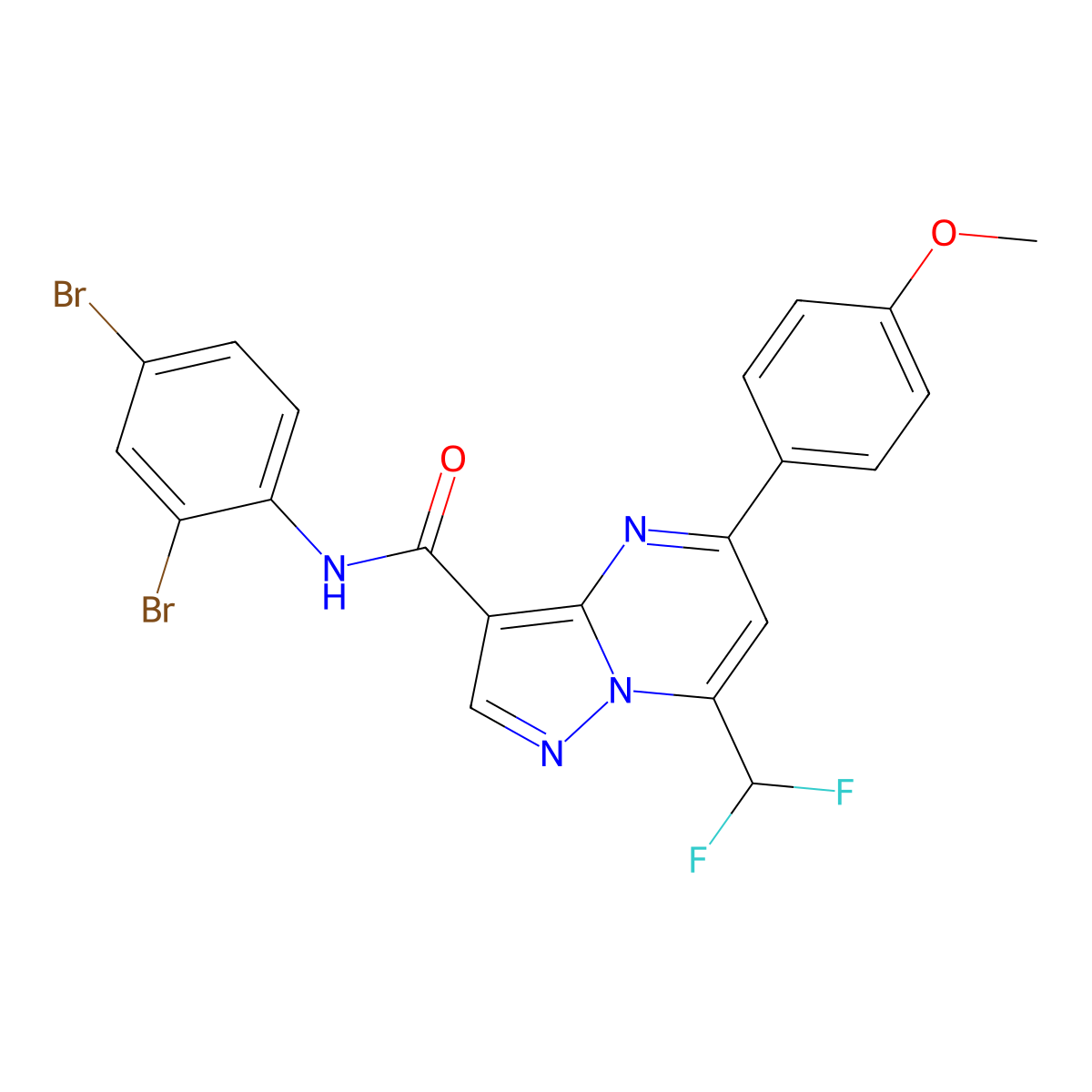 N-(2,4-dibromophenyl)-7-(difluoromethyl)-5-(4-methoxyphenyl)pyrazolo[1,5-a]pyrimidine-3-carboxamide molecular structure, CAS 445230-82-0