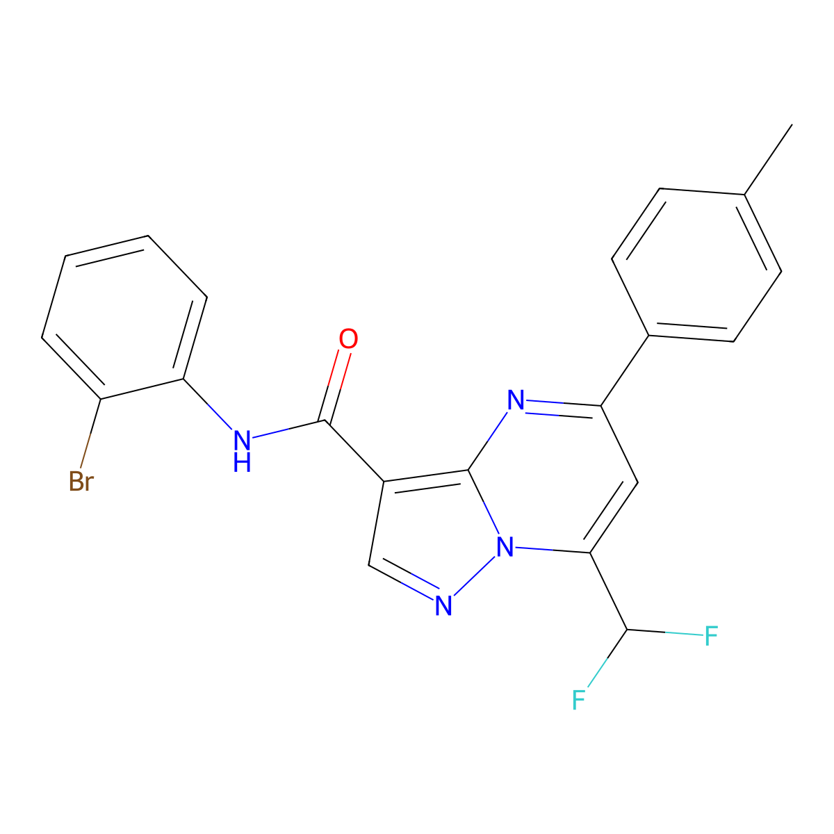 N-(2-bromophenyl)-7-(difluoromethyl)-5-(4-methylphenyl)pyrazolo[1,5-a]pyrimidine-3-carboxamide molecular structure, CAS 445230-92-2