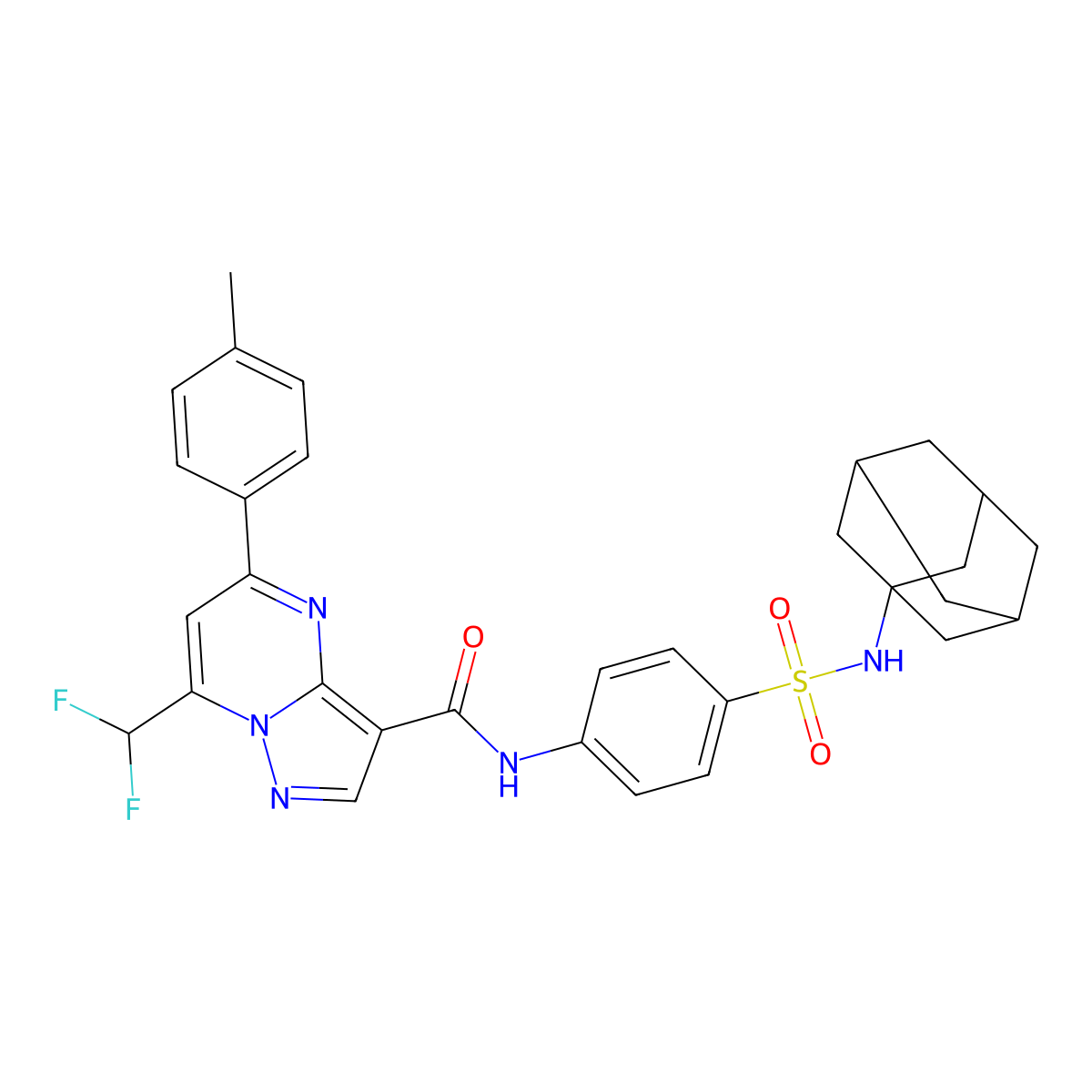 N-[4-(1-adamantylsulfamoyl)phenyl]-7-(difluoromethyl)-5-(4-methylphenyl)pyrazolo[1,5-a]pyrimidine-3-carboxamide molecular structure, CAS 445236-78-2
