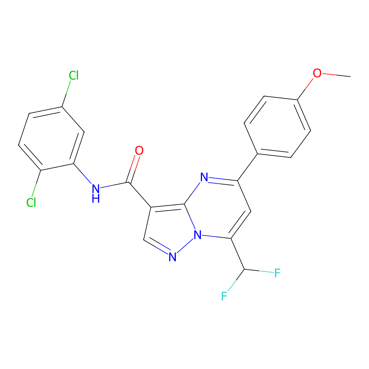 N-(2,5-dichlorophenyl)-7-(difluoromethyl)-5-(4-methoxyphenyl)pyrazolo[1,5-a]pyrimidine-3-carboxamide molecular structure, CAS 445238-50-6