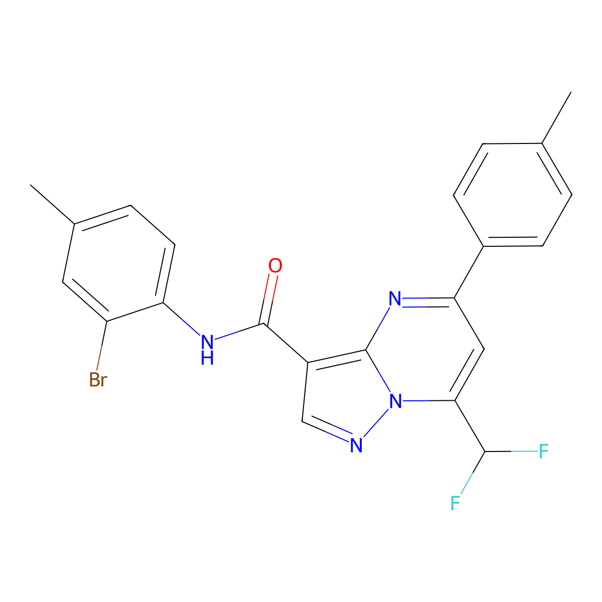 N-(2-bromo-4-methylphenyl)-7-(difluoromethyl)-5-(4-methylphenyl)pyrazolo[1,5-a]pyrimidine-3-carboxamide molecular structure, CAS 445238-57-3