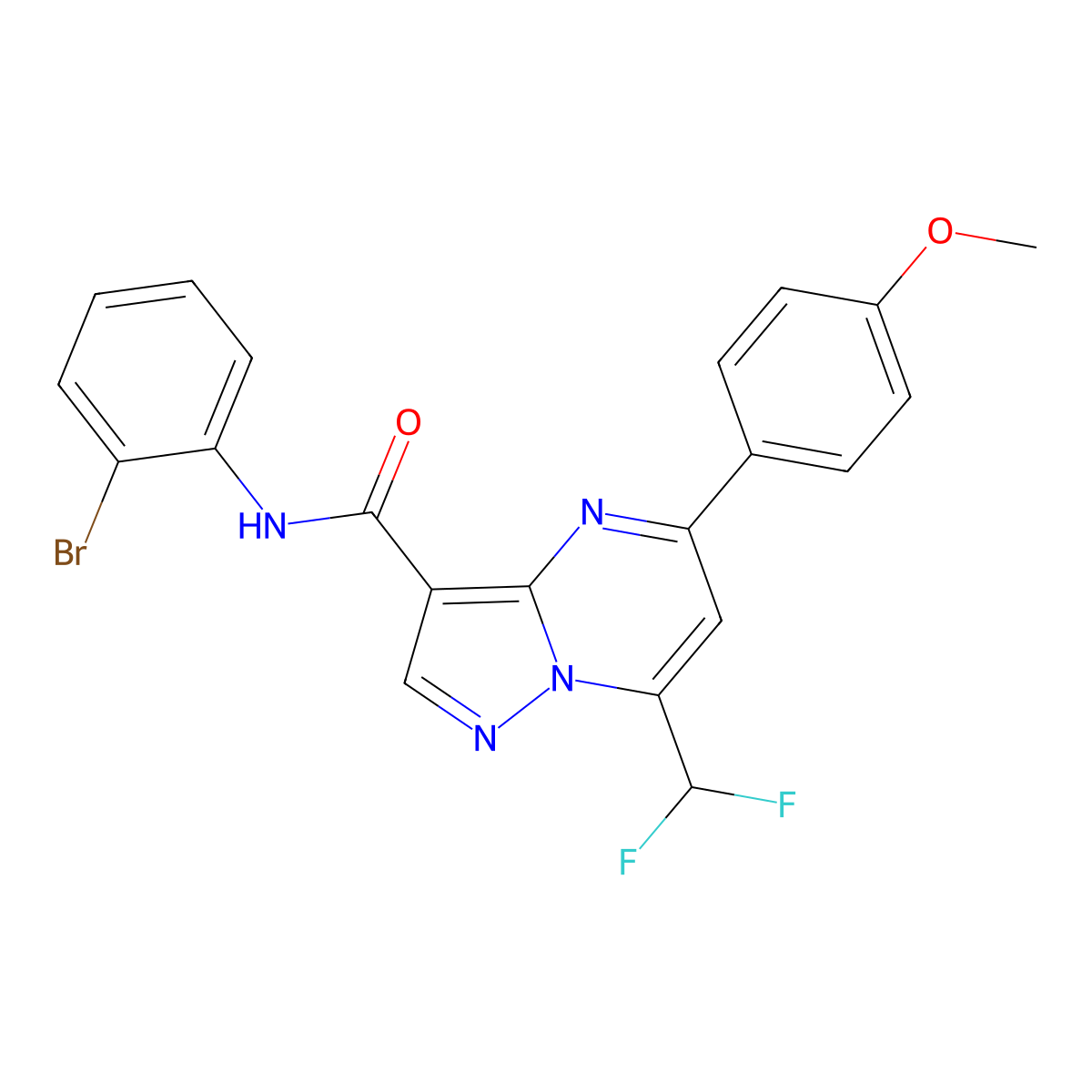 N-(2-bromophenyl)-7-(difluoromethyl)-5-(4-methoxyphenyl)pyrazolo[1,5-a]pyrimidine-3-carboxamide molecular structure, CAS 445238-63-1