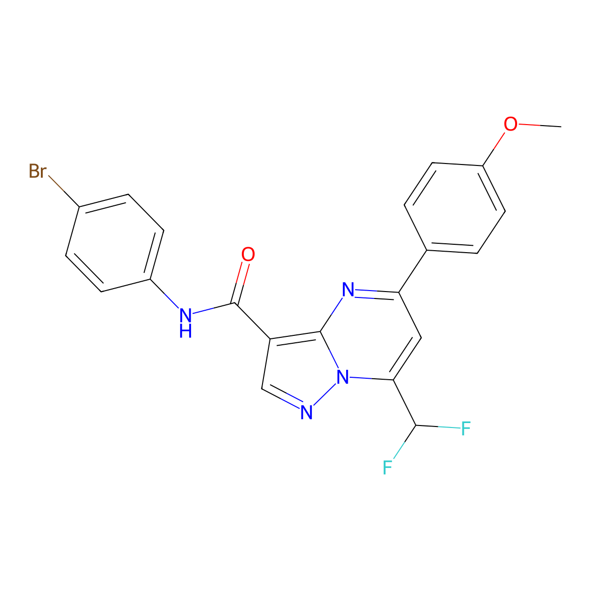 N-(4-bromophenyl)-7-(difluoromethyl)-5-(4-methoxyphenyl)pyrazolo[1,5-a]pyrimidine-3-carboxamide molecular structure, CAS 445238-68-6