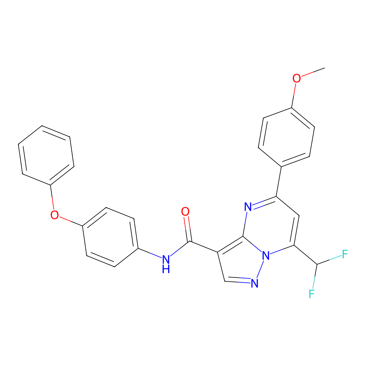 7-(difluoromethyl)-5-(4-methoxyphenyl)-N-(4-phenoxyphenyl)pyrazolo[1,5-a]pyrimidine-3-carboxamide molecular structure, CAS 445238-89-1
