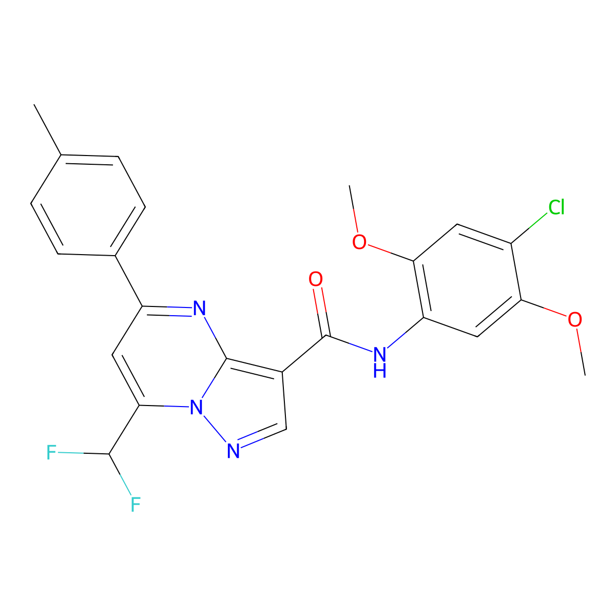 N-(4-chloro-2,5-dimethoxyphenyl)-7-(difluoromethyl)-5-(4-methylphenyl)pyrazolo[1,5-a]pyrimidine-3-carboxamide molecular structure, CAS 445239-54-3