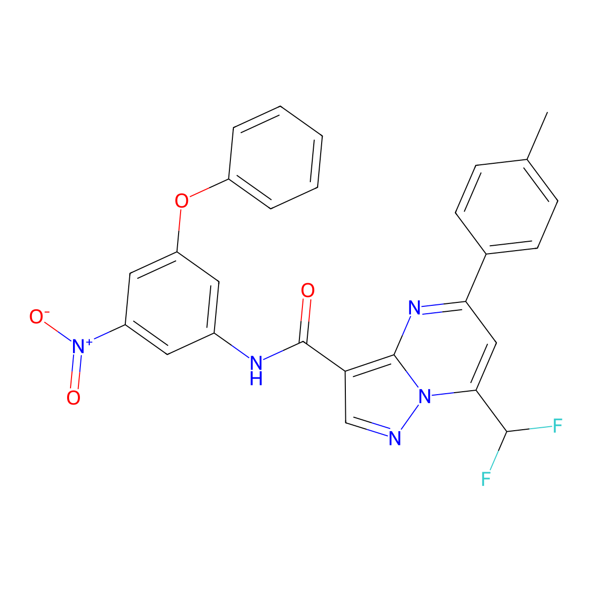 7-(difluoromethyl)-5-(4-methylphenyl)-N-(3-nitro-5-phenoxyphenyl)pyrazolo[1,5-a]pyrimidine-3-carboxamide molecular structure, CAS 445244-82-6