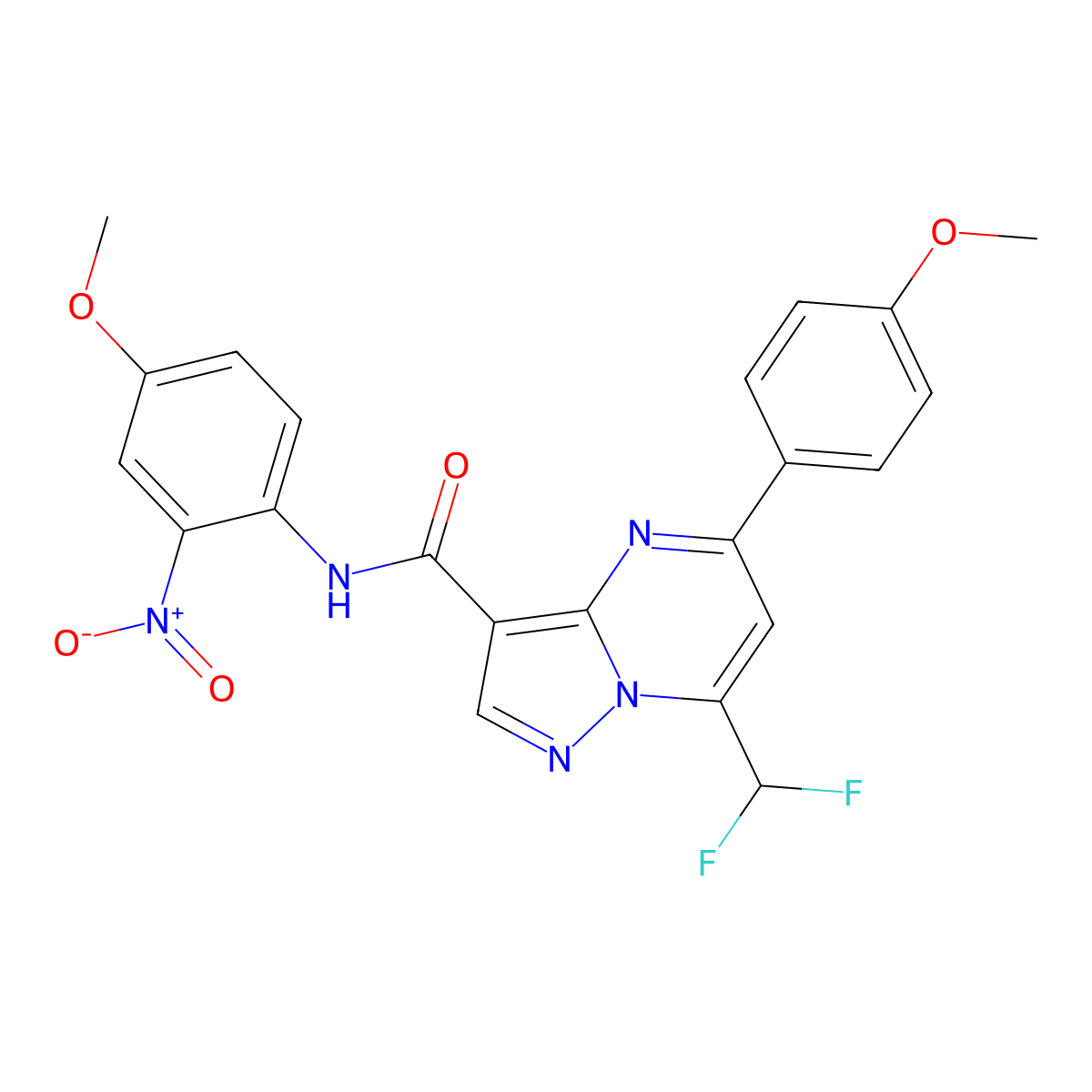 7-(difluoromethyl)-N-(4-methoxy-2-nitrophenyl)-5-(4-methoxyphenyl)pyrazolo[1,5-a]pyrimidine-3-carboxamide molecular structure, CAS 445245-25-0