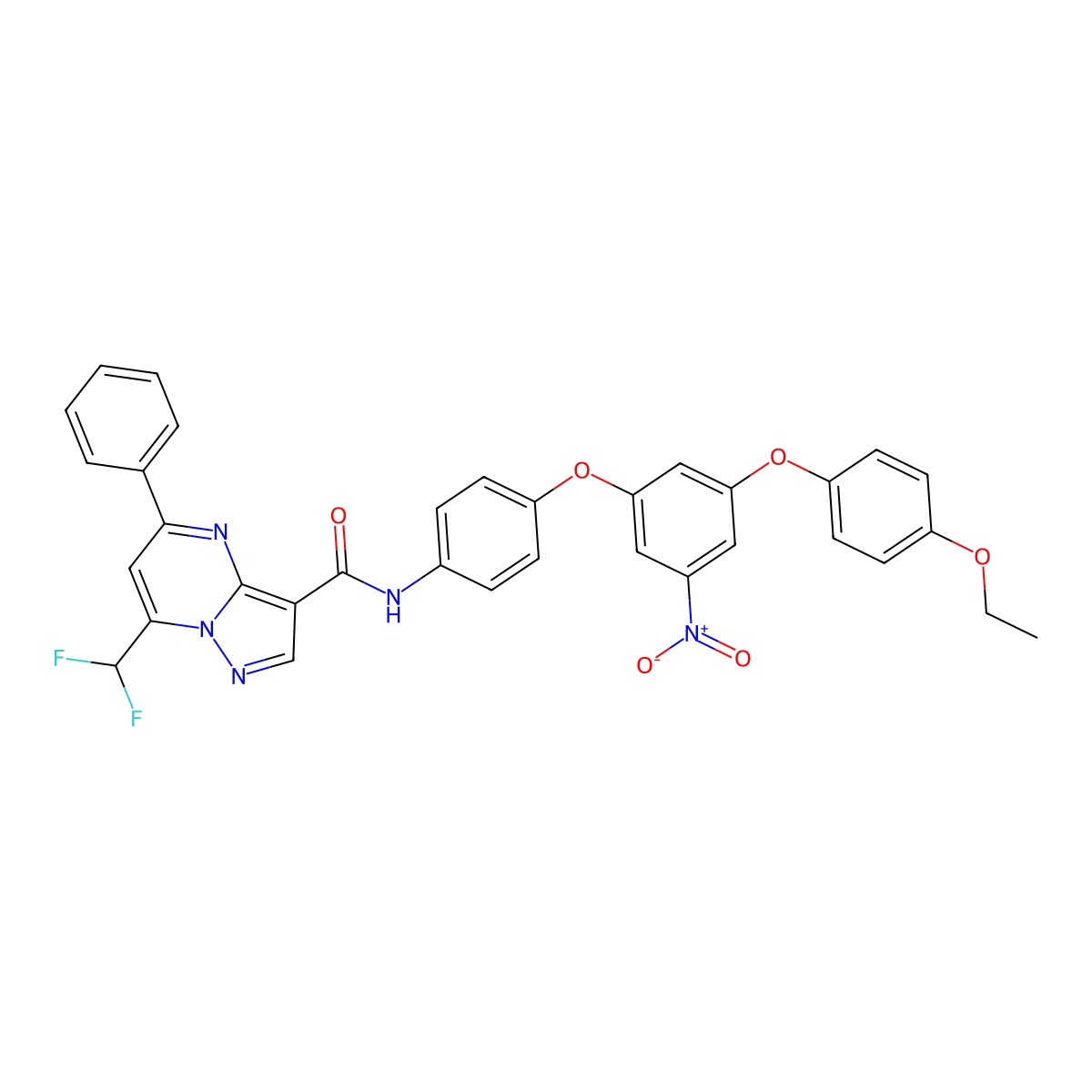 7-(difluoromethyl)-N-[4-[3-(4-ethoxyphenoxy)-5-nitrophenoxy]phenyl]-5-phenylpyrazolo[1,5-a]pyrimidine-3-carboxamide molecular structure, CAS 445245-55-6