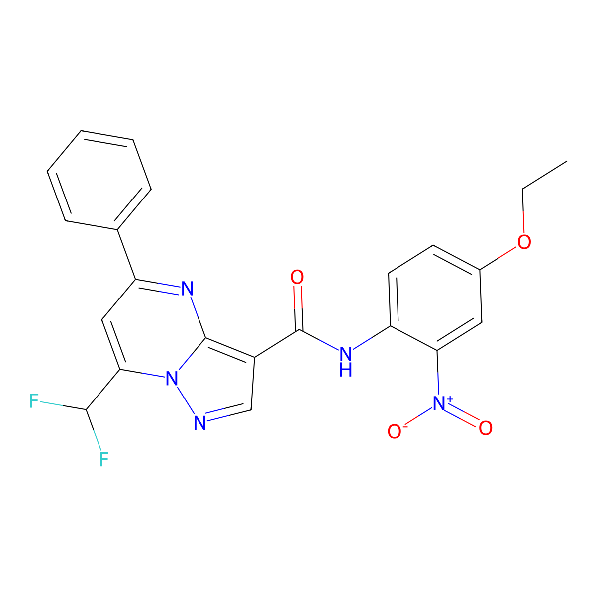 7-(difluoromethyl)-N-(4-ethoxy-2-nitrophenyl)-5-phenylpyrazolo[1,5-a]pyrimidine-3-carboxamide molecular structure, CAS 445245-56-7
