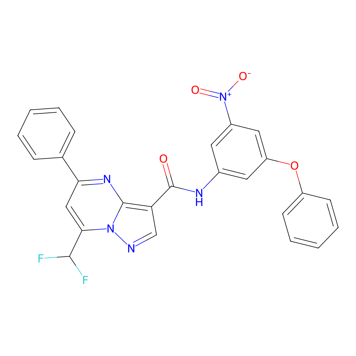 7-(difluoromethyl)-N-(3-nitro-5-phenoxyphenyl)-5-phenylpyrazolo[1,5-a]pyrimidine-3-carboxamide molecular structure, CAS 445246-08-2