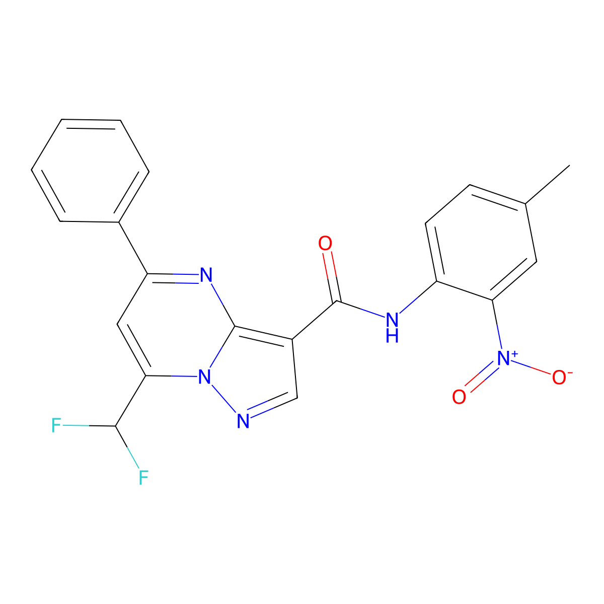 7-(difluoromethyl)-N-(4-methyl-2-nitrophenyl)-5-phenylpyrazolo[1,5-a]pyrimidine-3-carboxamide molecular structure, CAS 445246-10-6