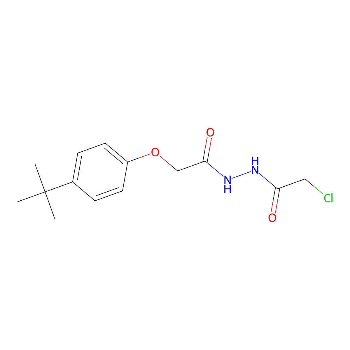 2-(4-(tert-butyl)phenoxy)-N'-(2-chloroacetyl)acetohydrazide molecular structure, CAS 446856-82-2