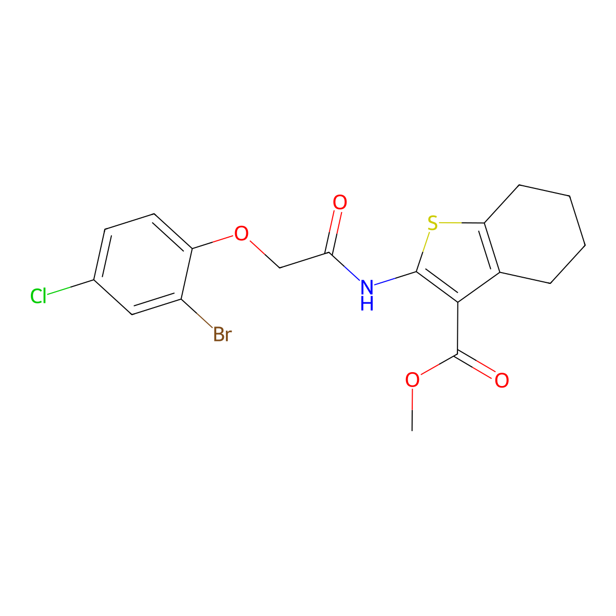 Methyl 2-{[(2-bromo-4-chlorophenoxy)acetyl]amino}-4,5,6,7-tetrahydro-1-benzothiophene-3-carboxylate molecular structure, CAS 447449-29-8