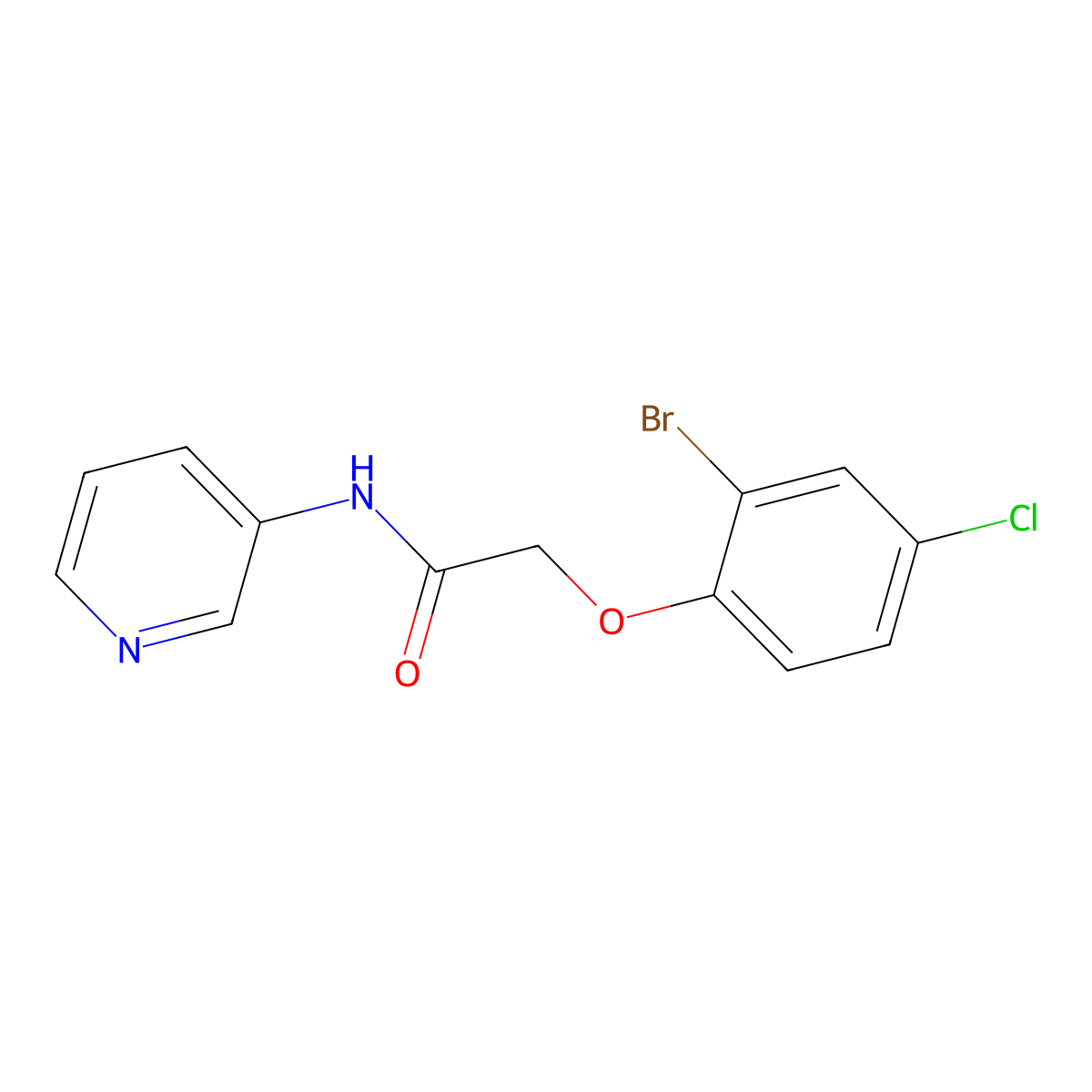 2-(2-bromo-4-chlorophenoxy)-N-pyridin-3-ylacetamide molecular structure, CAS 447449-37-8