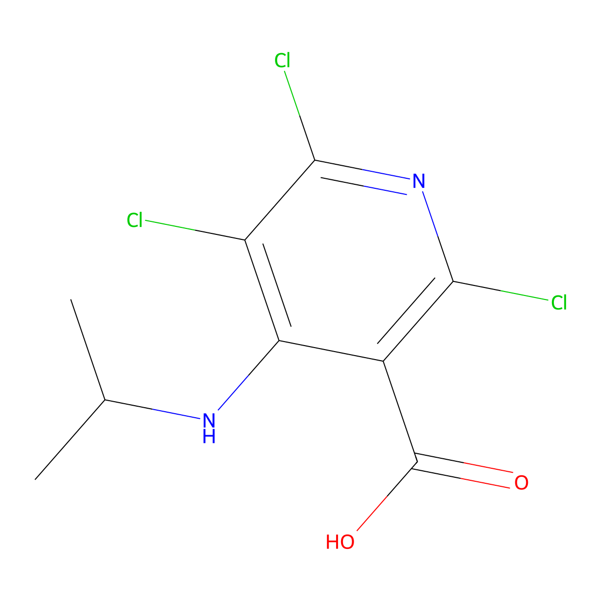2,5,6-Trichloro-4-(propan-2-ylamino)pyridine-3-carboxylic acid molecular structure, CAS 447456-68-0