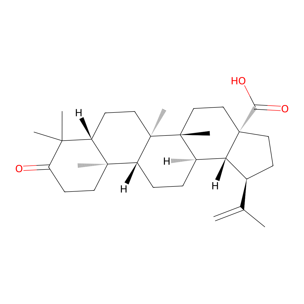 (+)-Betulonic acid molecular structure, CAS 4481-62-3