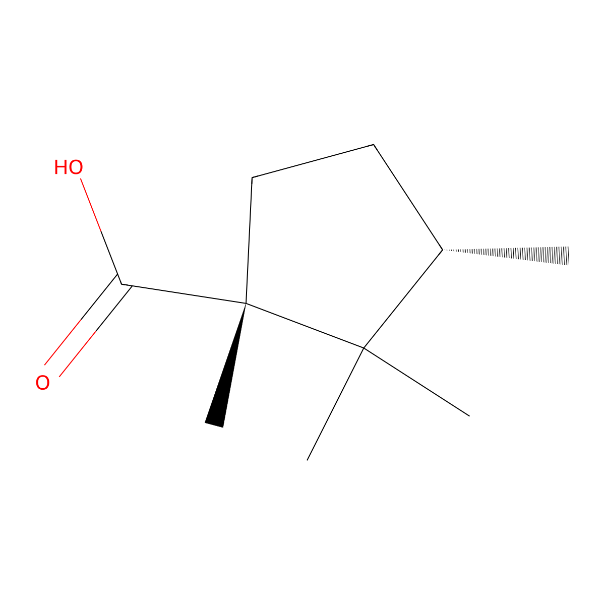 (1R,3S)-1,2,2,3-tetramethylcyclopentane-1-carboxylic acid molecular structure, CAS 448188-10-1