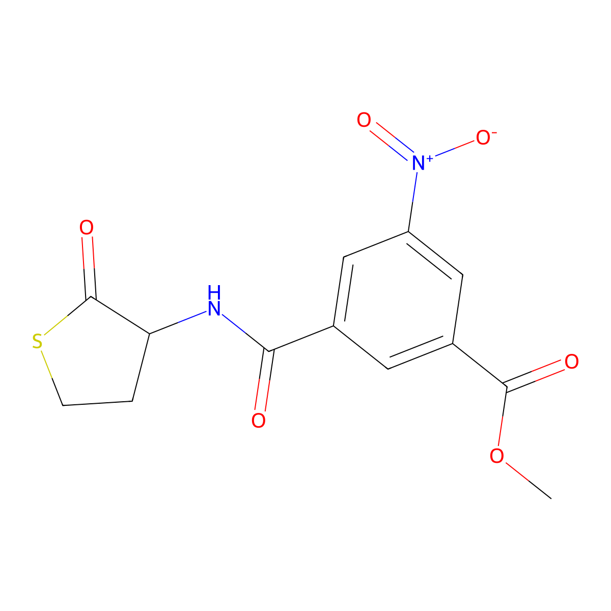 Methyl 3-nitro-5-[(2-oxothiolan-3-yl)carbamoyl]benzoate molecular structure, CAS 448192-49-2