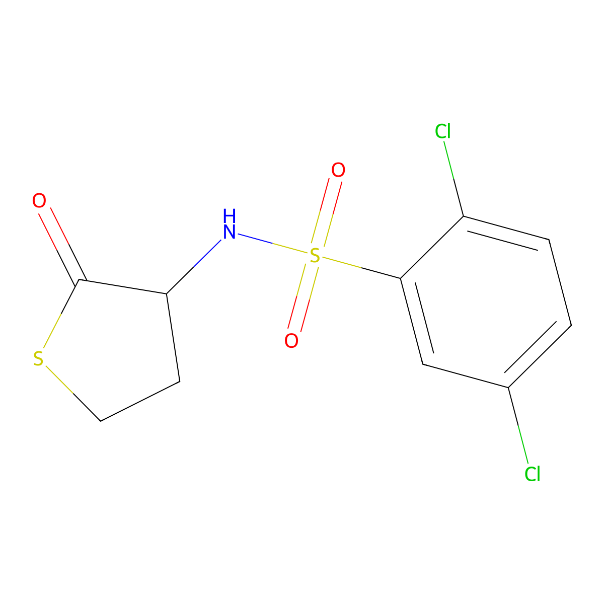 2,5-dichloro-N-(2-oxothiolan-3-yl)benzenesulfonamide molecular structure, CAS 448192-52-7
