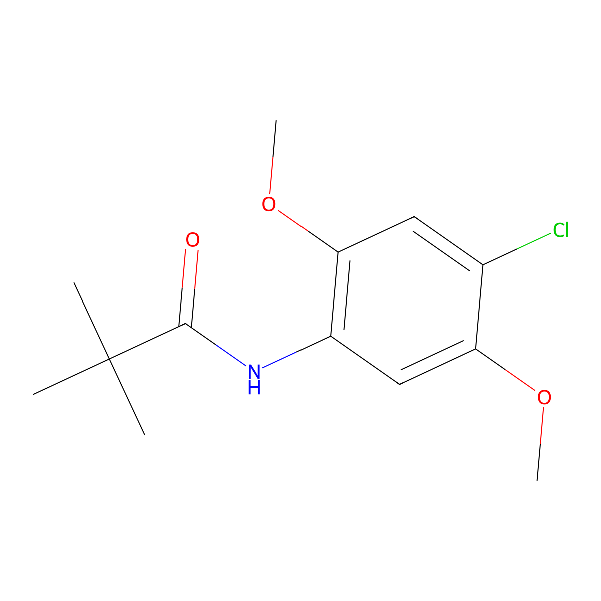 Propanamide, N-(4-chloro-2,5-dimethoxyphenyl)-2,2-dimethyl- molecular structure, CAS 448250-76-8