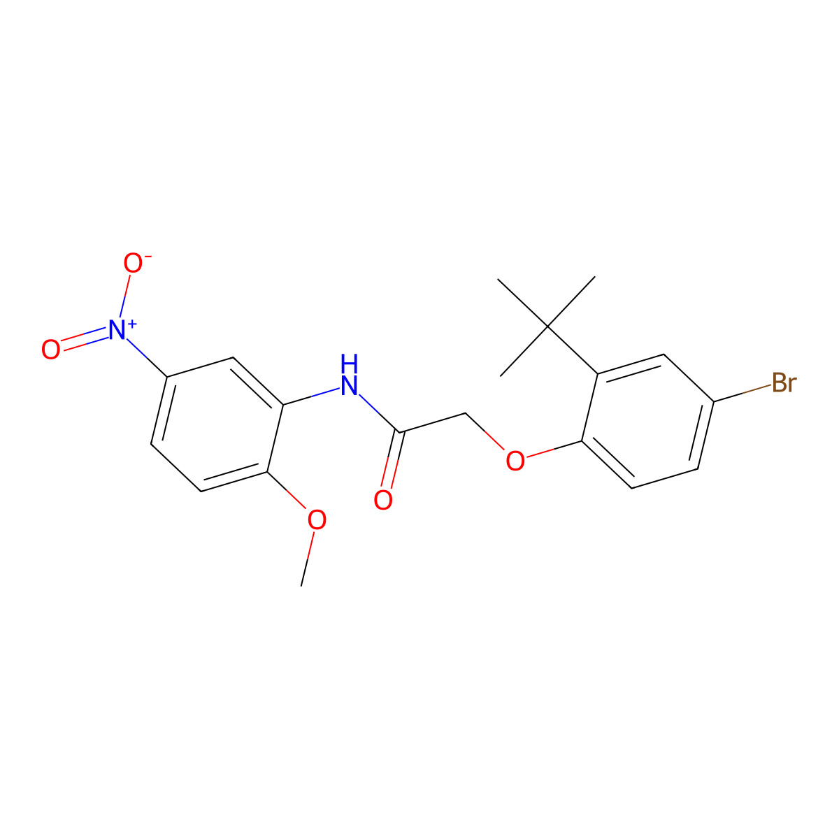2-(4-bromo-2-tert-butylphenoxy)-N-(2-methoxy-5-nitrophenyl)acetamide molecular structure, CAS 449156-62-1