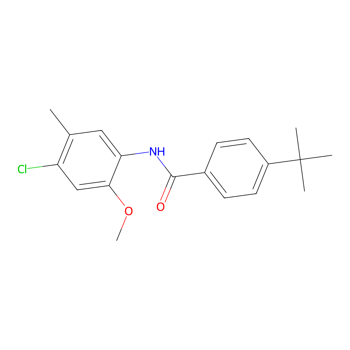 4-tert-butyl-N-(4-chloro-2-methoxy-5-methylphenyl)benzamide molecular structure, CAS 449158-37-6
