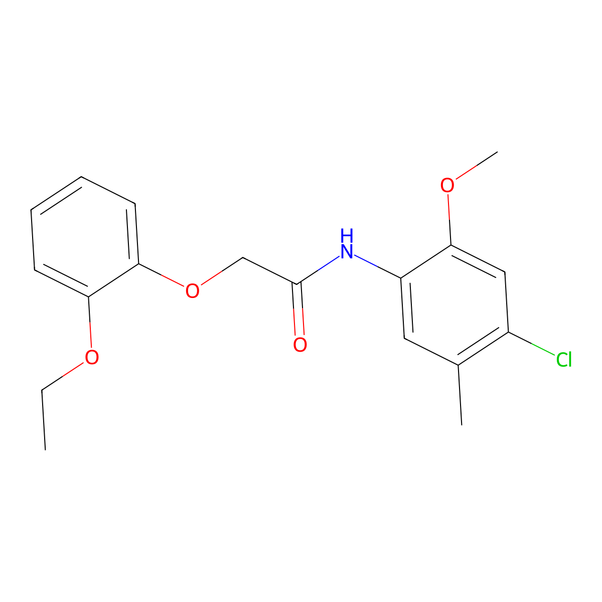 N-(4-chloro-2-methoxy-5-methylphenyl)-2-(2-ethoxyphenoxy)acetamide molecular structure, CAS 449158-67-2