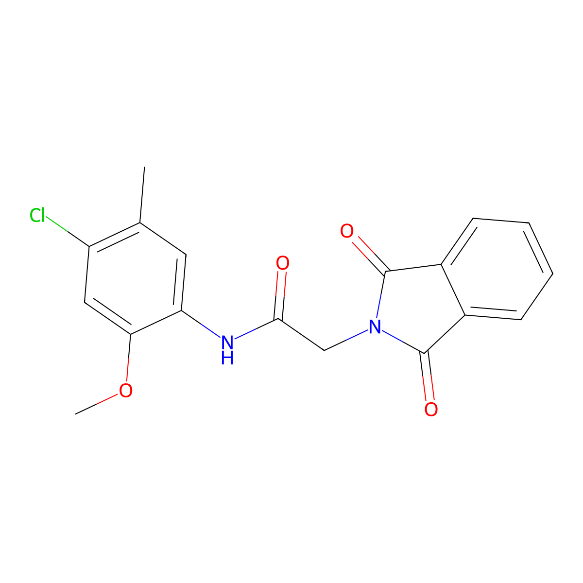 N-(4-chloro-2-methoxy-5-methylphenyl)-2-(1,3-dioxo-2,3-dihydro-1H-isoindol-2-yl)acetamide molecular structure, CAS 449166-17-0