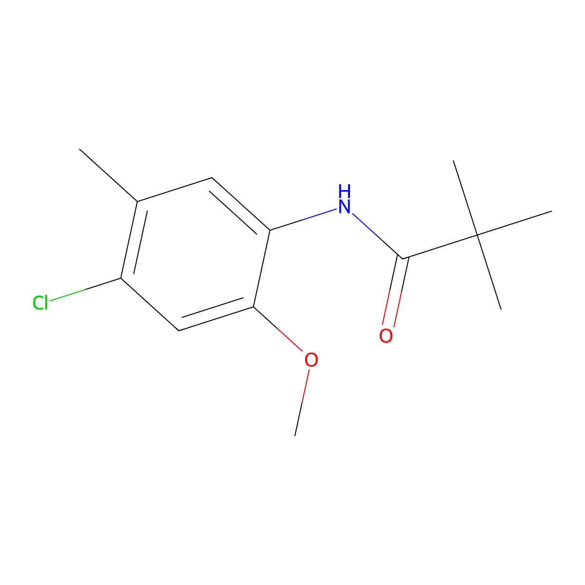 N-(4-chloro-2-methoxy-5-methylphenyl)-2,2-dimethylpropanamide molecular structure, CAS 449170-24-5