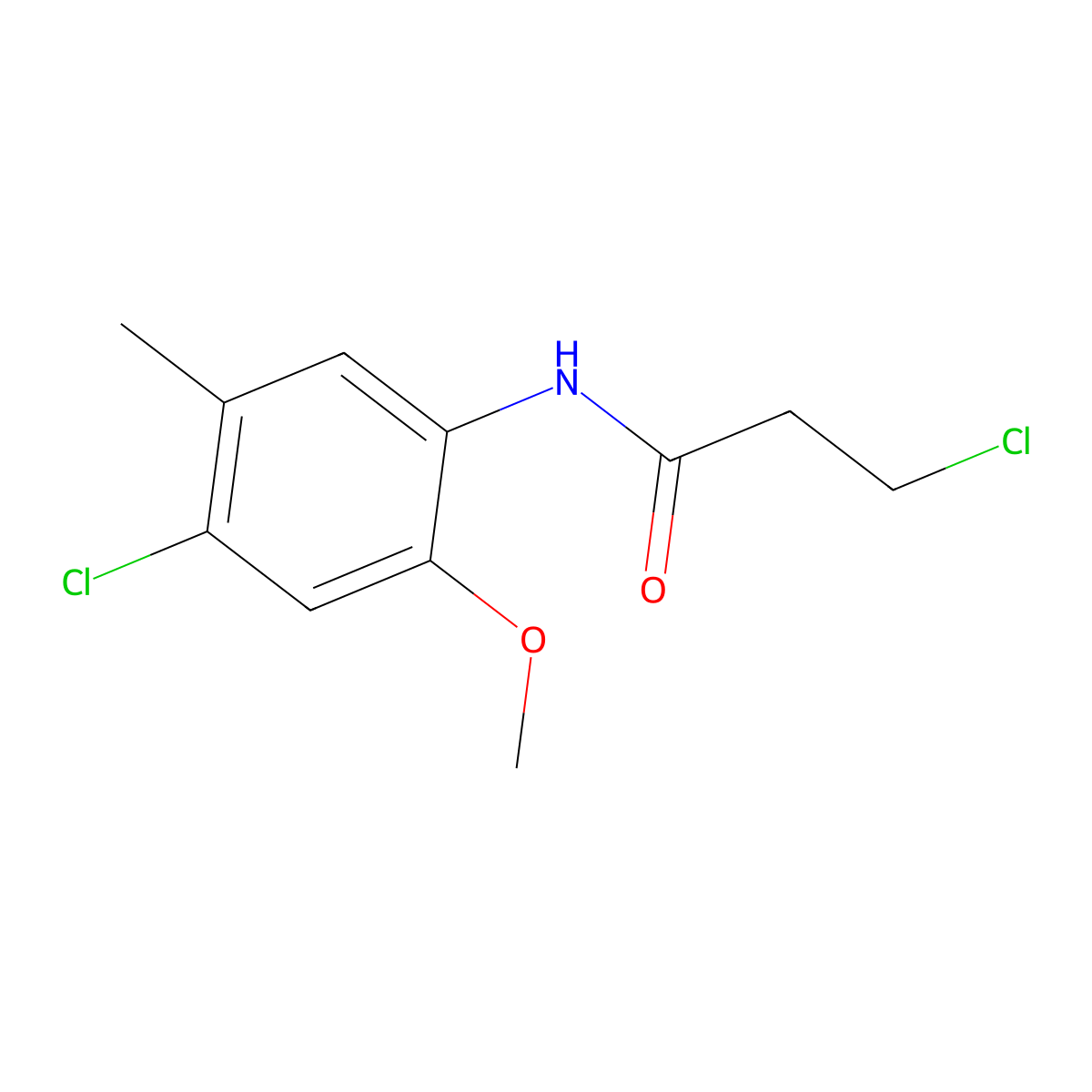 3-chloro-N-(4-chloro-2-methoxy-5-methylphenyl)propanamide molecular structure, CAS 449170-29-0